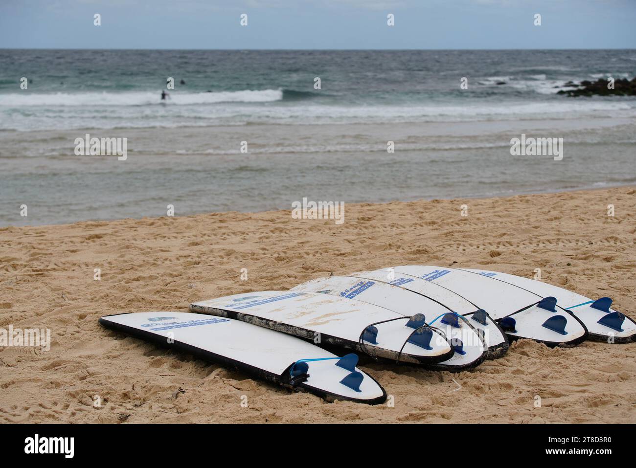 Surfbretter einer Surfschule liegen am Manly Beach Sydney. Stockfoto