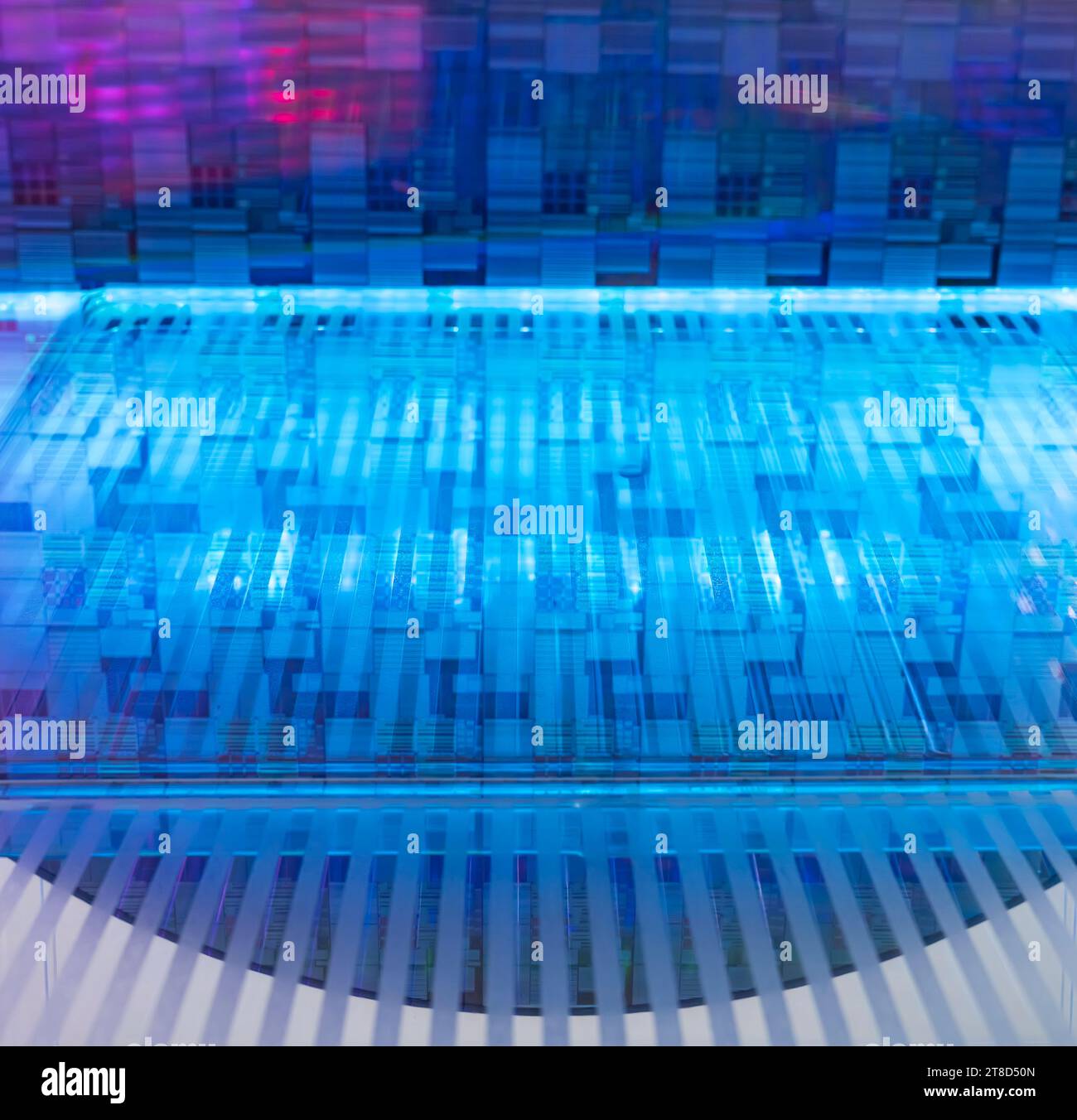 Silizium-Wafer mit Mikrochips, die in der Elektronik für die Herstellung von integrierten Schaltungen verwendet werden Stockfoto