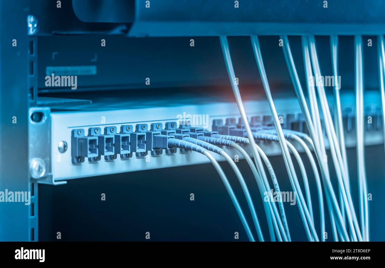 Glasfaserkabel werden mit dem Switch-Port im Serverraum verbunden, Konzept-Netzwerkverwaltung Stockfoto