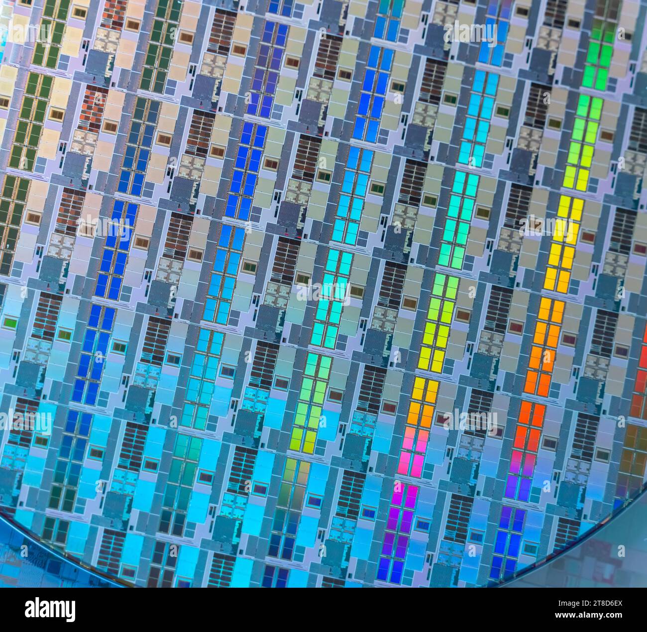 Silizium-Wafer mit Mikrochips, die in der Elektronik für die Herstellung von integrierten Schaltungen verwendet werden Stockfoto