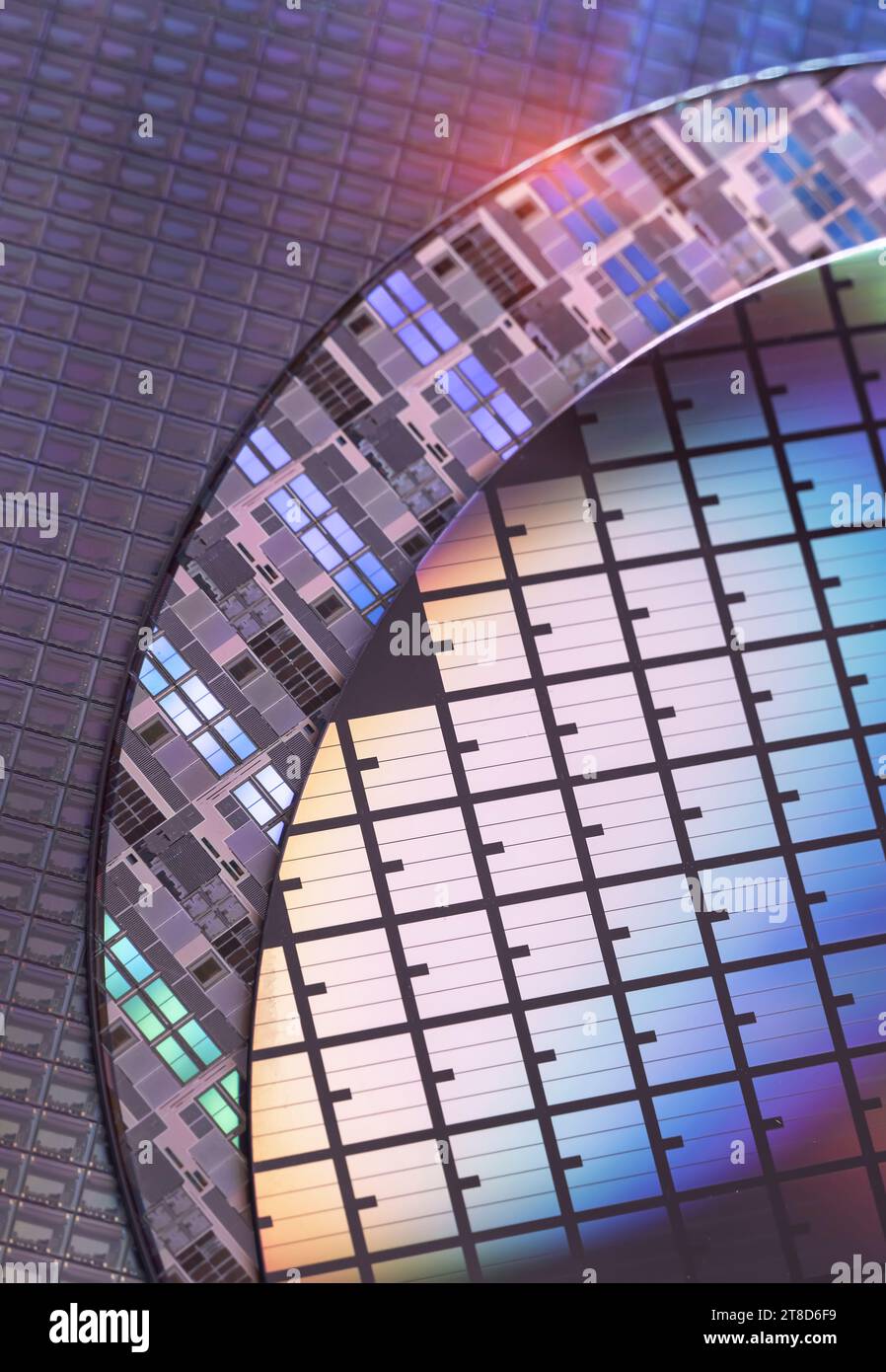 Silizium-Wafer mit Mikrochips, die in der Elektronik für die Herstellung von integrierten Schaltungen verwendet werden Stockfoto