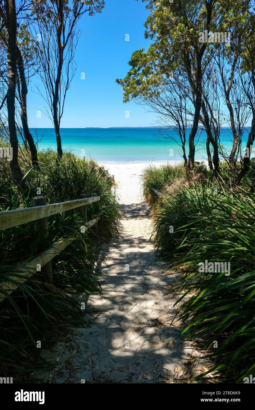 Von Bäumen und Sträuchern eingerahmte Holztreppen führen hinunter zu einem weißen Sandstrand in Shoalhaven - Callala Beach, Jervis Bay National Park; NSW, Australien Stockfoto