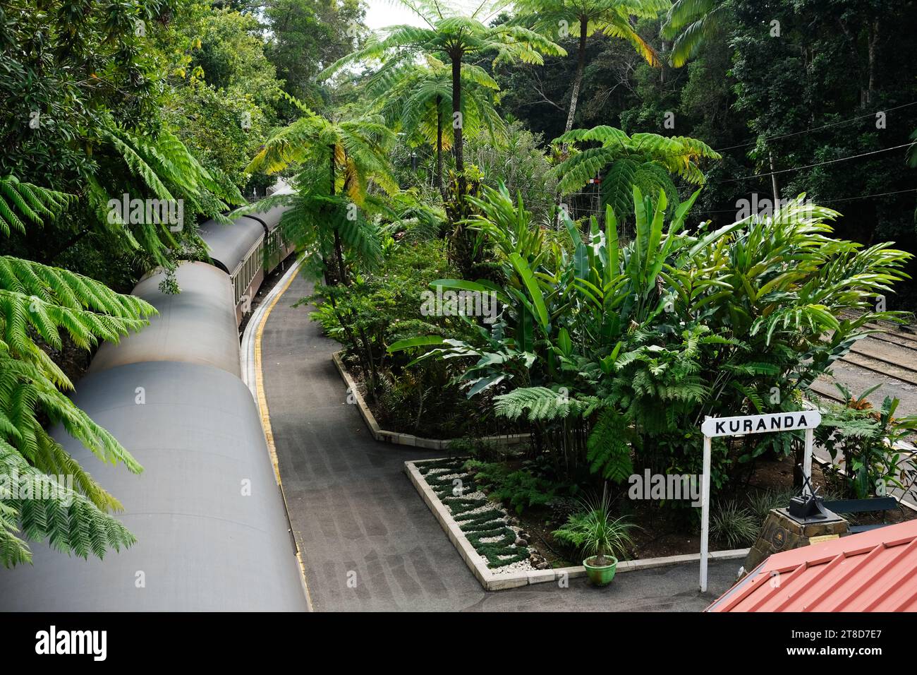 Die Kuranda Scenic Railway Dampfeisenbahn, umgeben von Regenwäldern, wartet am Bahnsteig auf Passagiere für die Rückfahrt nach Cairns Stockfoto