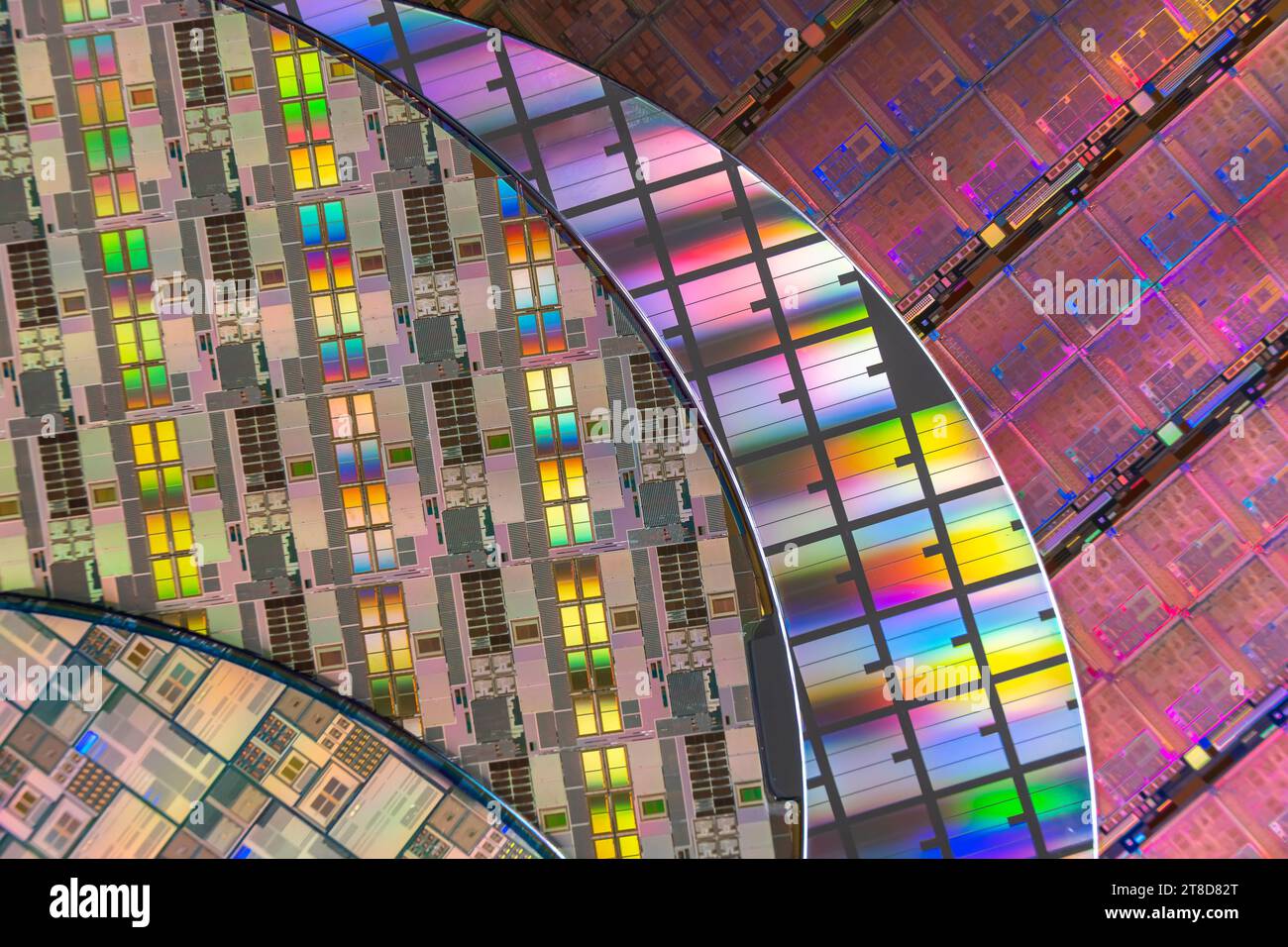 Silizium-Wafer mit Mikrochips, die in der Elektronik zur Herstellung integrierter Schaltungen verwendet werden. Stockfoto