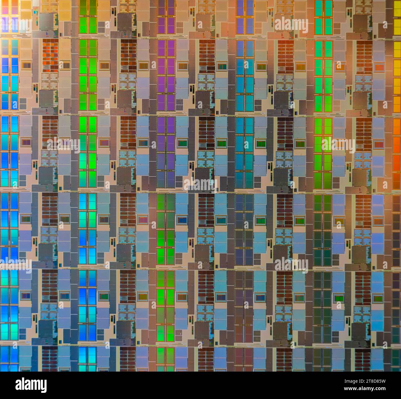 Silizium-Wafer mit Mikrochips, die in der Elektronik zur Herstellung integrierter Schaltungen verwendet werden. Stockfoto