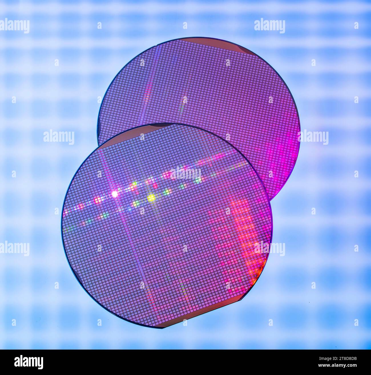 Makro aus Silizium-Wafer-Halbleiter mit Neonfarbe, integrierte Schaltungen zur Herstellung von CPU und GPU Stockfoto