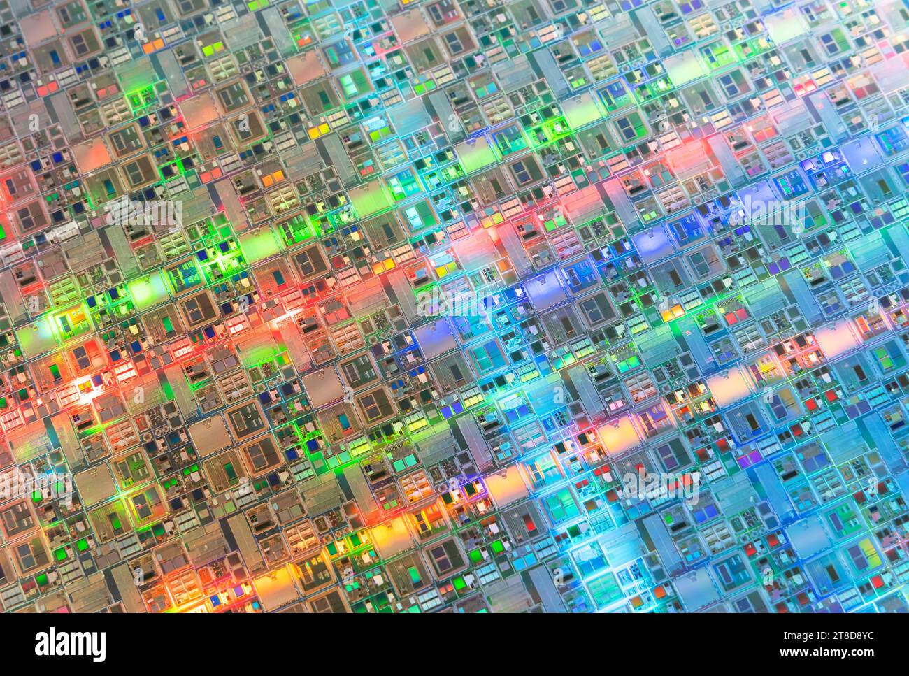 Silizium-Wafer mit Mikrochips, die in der Elektronik zur Herstellung integrierter Schaltungen verwendet werden. Stockfoto