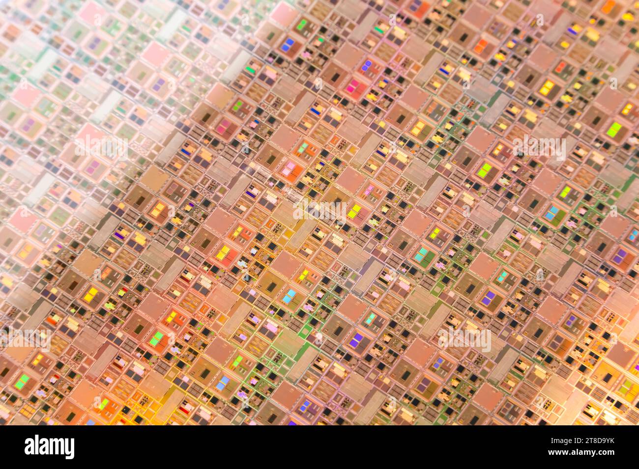 Silizium-Wafer-Halbleiter mit Neonfarbe, integrierte Schaltungen zur Herstellung von CPU und GPU Stockfoto