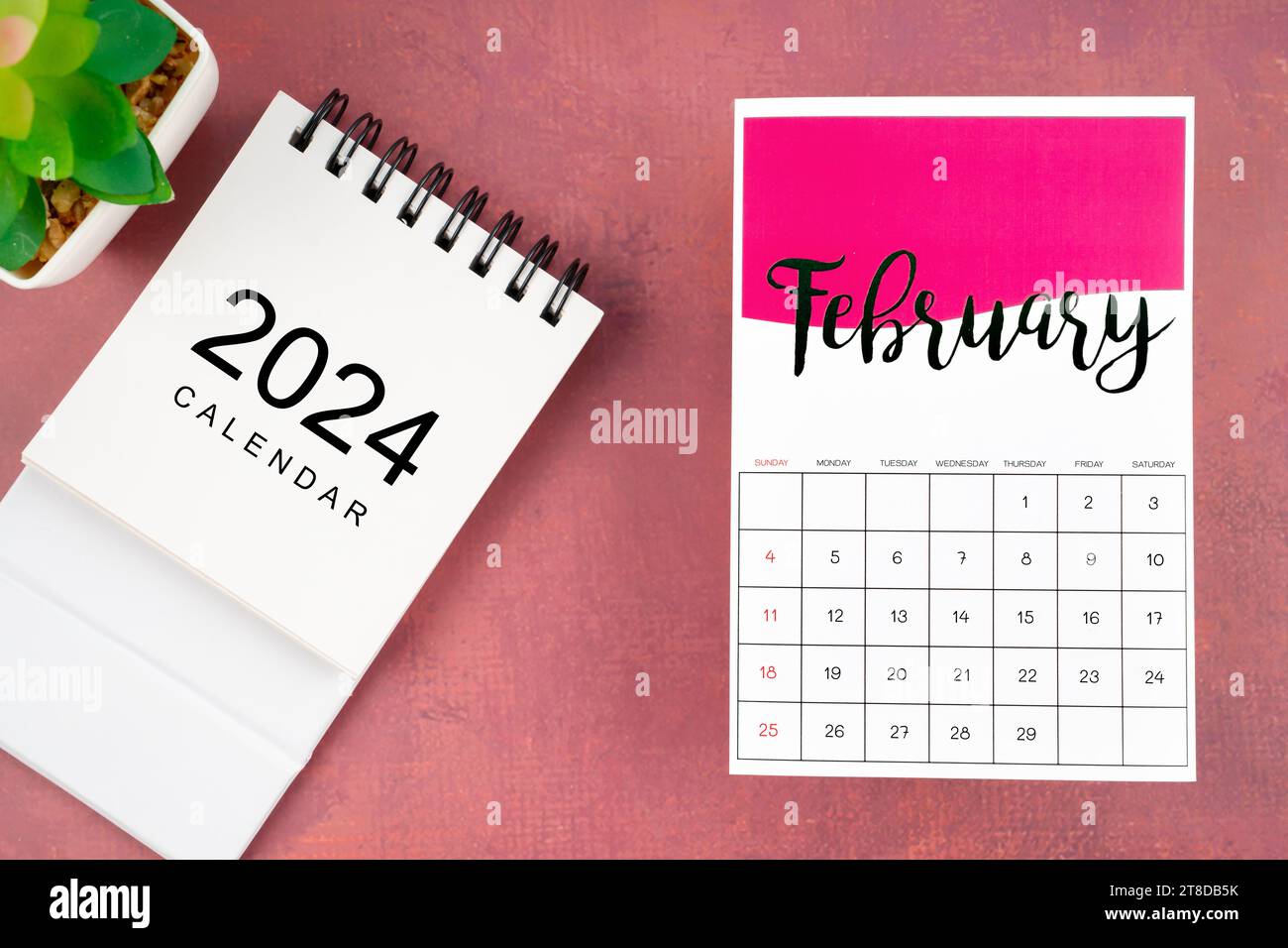 Kalenderseite Februar 2024 mit Pflanztopf auf rotem Hintergrund. Stockfoto