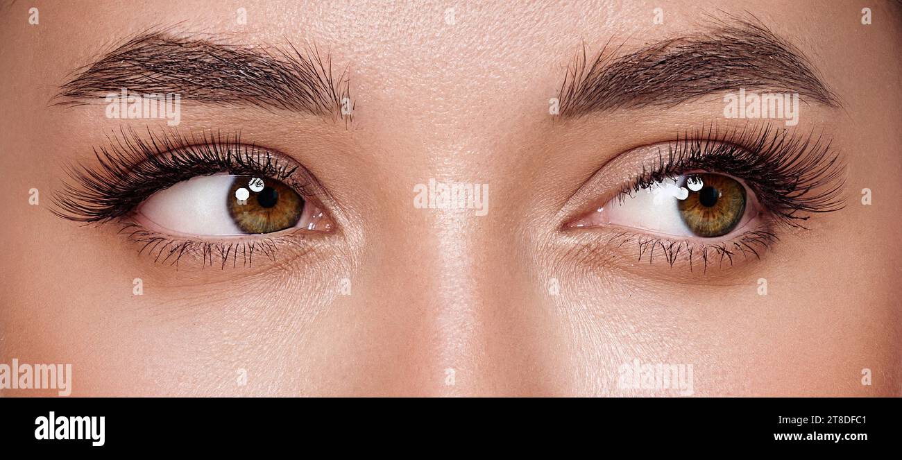 Schöne weibliche Augen mit langen Wimpern. Wimpernverlängerungen. Make-up, Kosmetik, Schönheit. Nahaufnahme, Makro Stockfoto