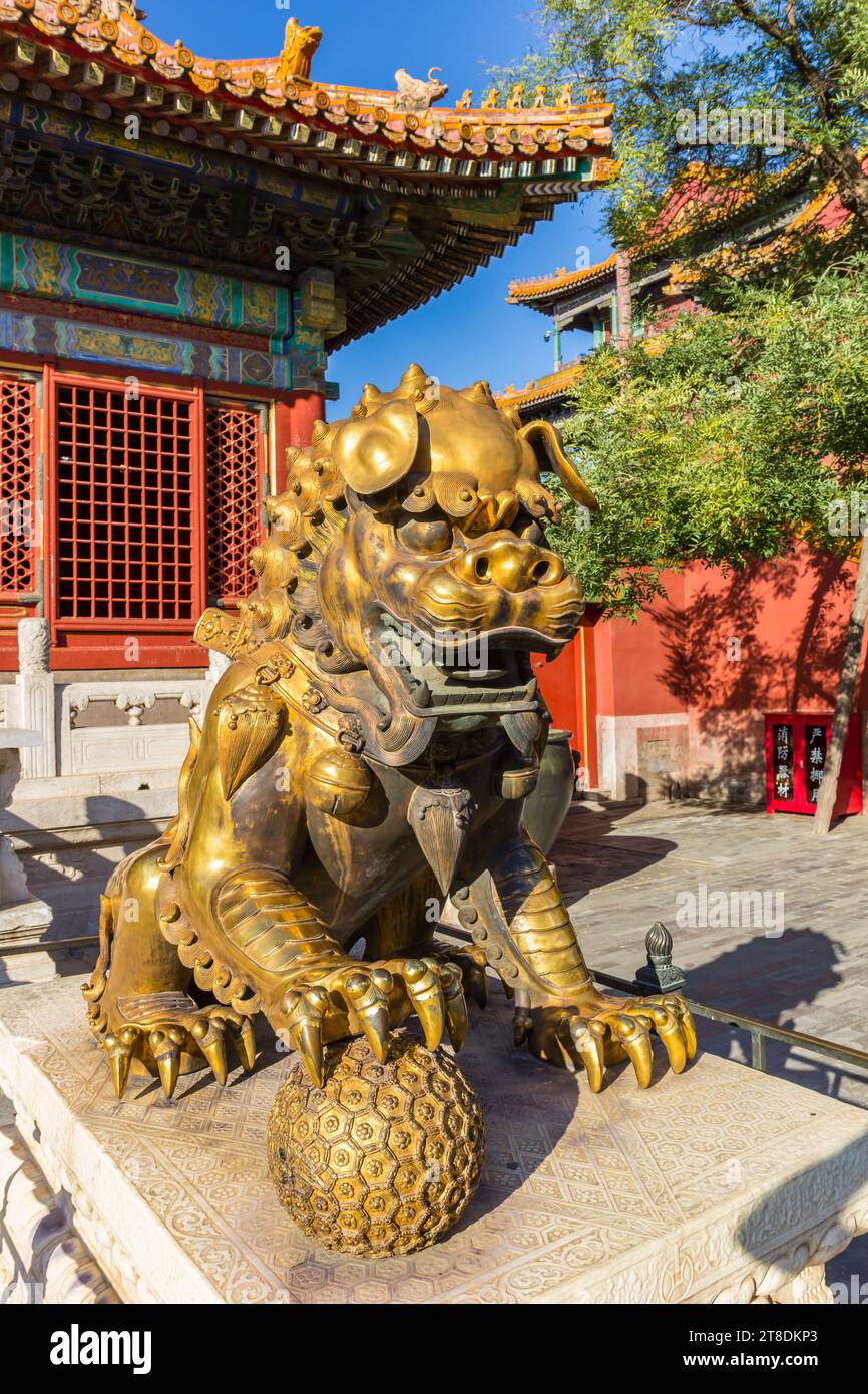 Goldener Schutzlöwe in der Verbotenen Stadt in Peking, China Stockfoto
