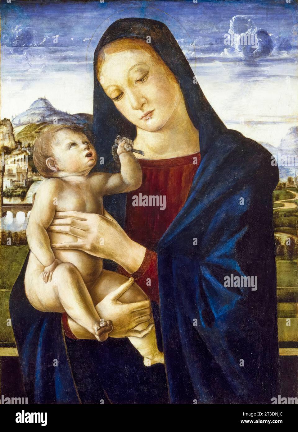 Giovanni Bellini (zugeschrieben), Jungfrau und Kind, Gemälde in Tempera auf Holz, 1458-1472 Stockfoto