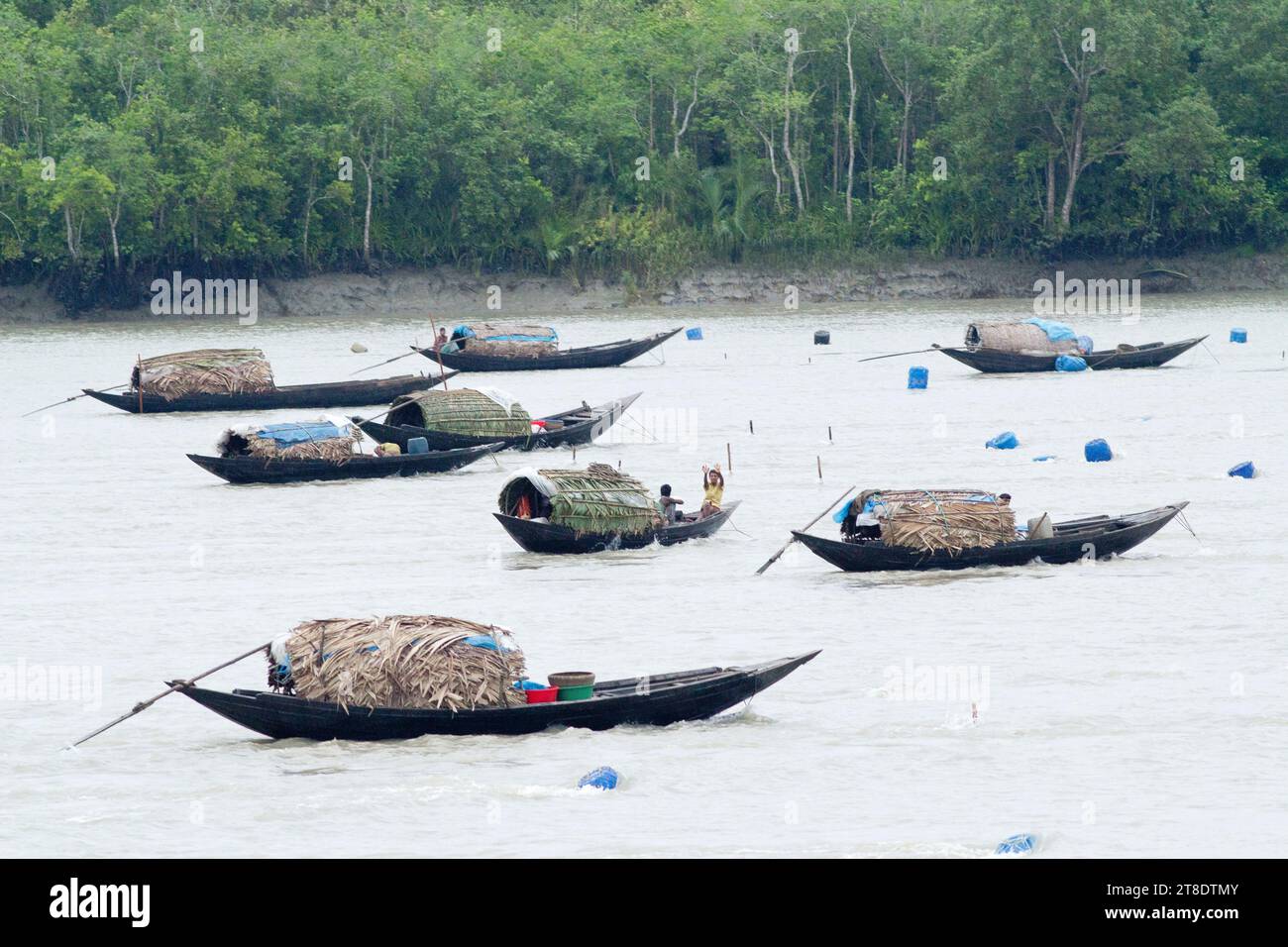 Fischerboote in der Region Sundarban in Bangladesch Stockfoto