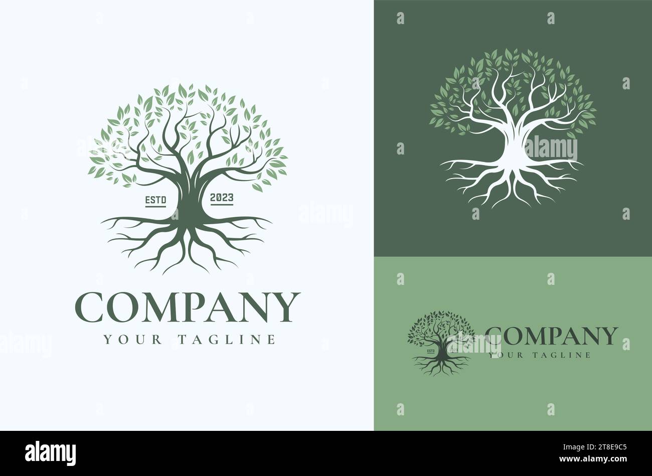Design Inspiration Tree of Life mit Wurzeln isoliert auf weißem Hintergrund. Abstrakte Baumkonstruktion Stock Vektor