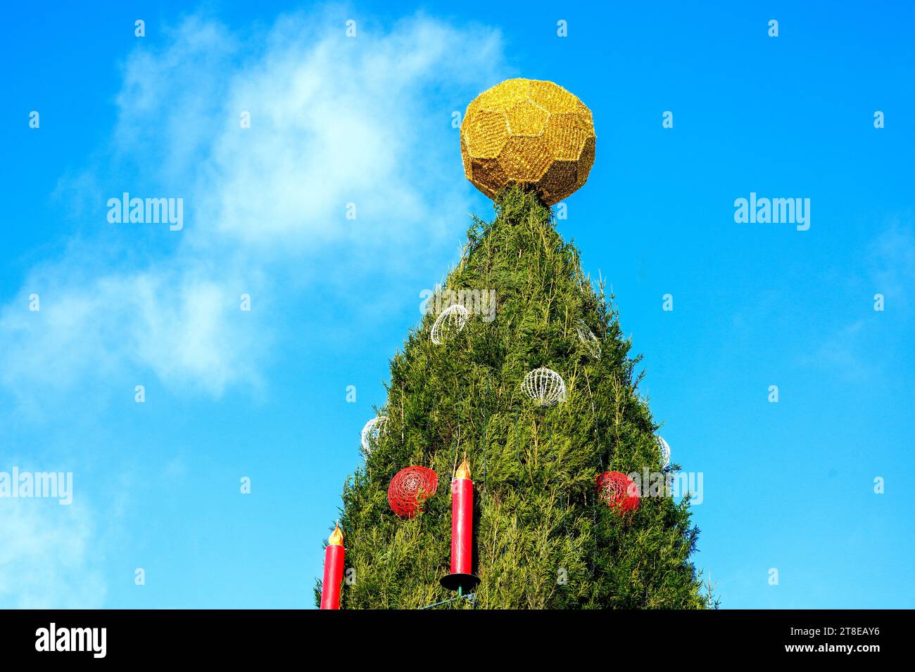 Dortmund, 20. November 2023: Auf dem Dortmunder Weihnachtsmarkt krönt ein goldener Ball den größten Weihnachtsbaum der Welt. Der Baum ist 45 Meter hoch, besteht aus 1.700 roten Fichten aus dem Sauerland und ist mit 48.000 LED-Leuchten gehängt. Der Ball auf der Oberseite ähnelt einem Fußball und wird deshalb als geschmacklos und weihnachtlich unpassend kritisiert --- eine goldene Kugel krönt den weltweit größten Weihnachtsbaum auf dem Dortmunder Weihnachtsmarkt. Der Baum ist 45 Meter hoch, besteht aus 1700 Rotfichten aus dem Sauerland und ist mit 48,000 LED-Lichtern behängt. Die Kugel auf der Sp Stockfoto