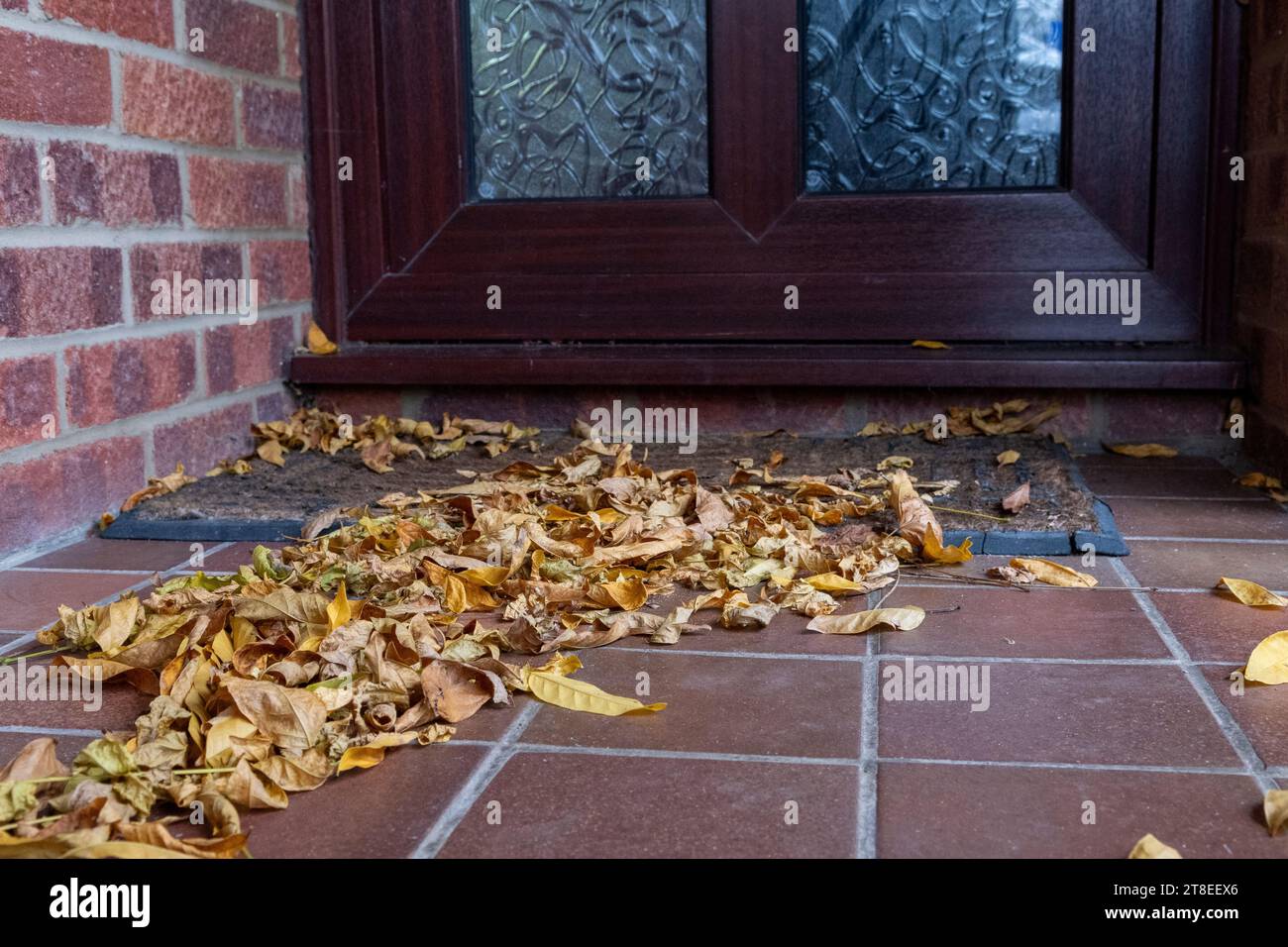 Herbstblätter, die vom Wind in Richtung einer Haustür in einer Haustür geblasen werden Stockfoto