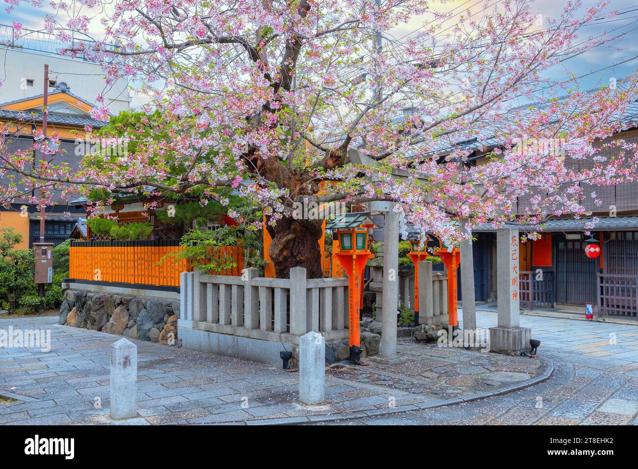 Kyoto, Japan - 6. April 2023: Tatsumi Daimyojin-Schrein in der Nähe der Tatsumu-Bashi-Brücke im Stadtteil Gion Stockfoto