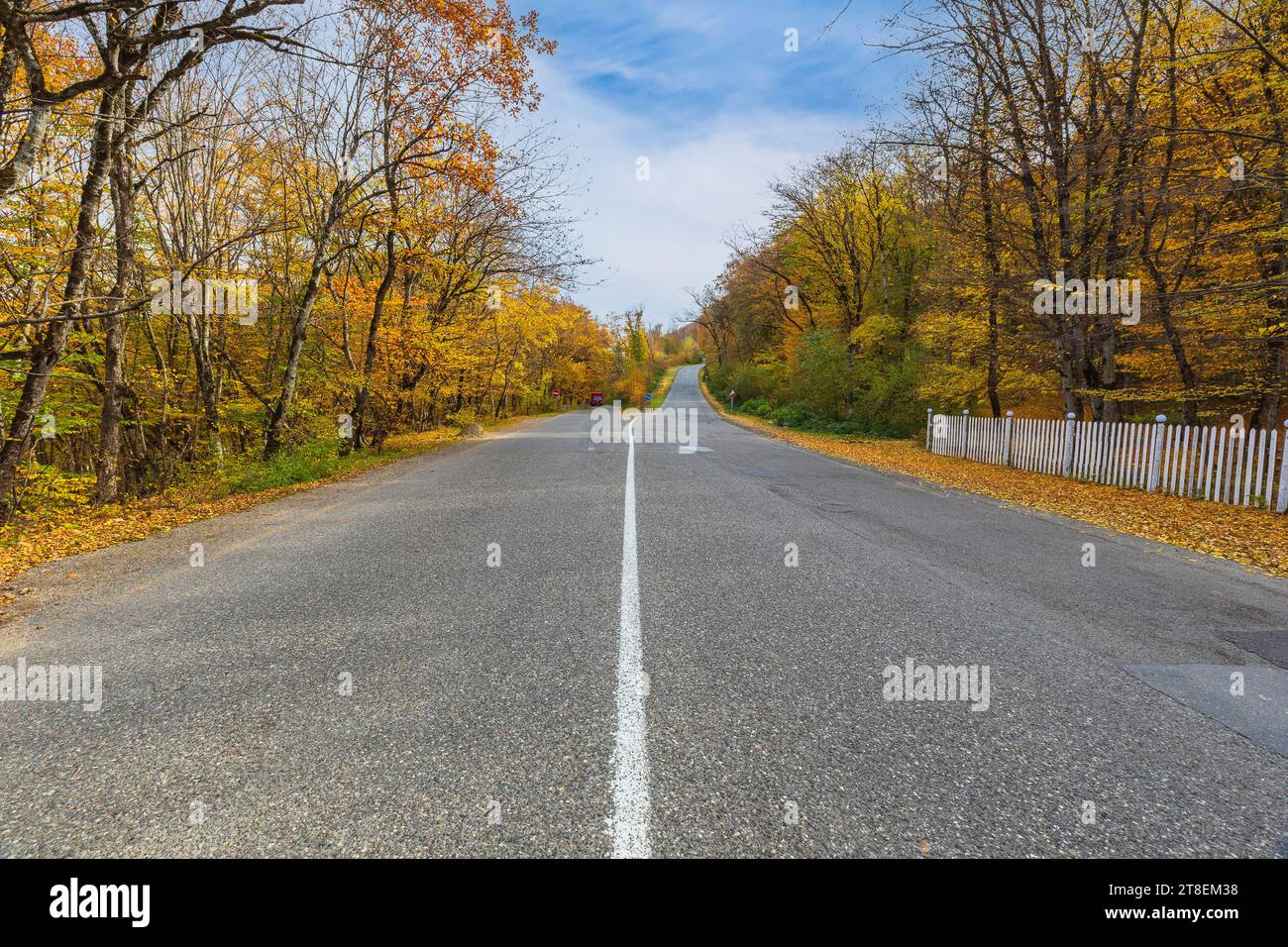 Die Straße führt durch einen Herbstwald in den Bergen Stockfoto