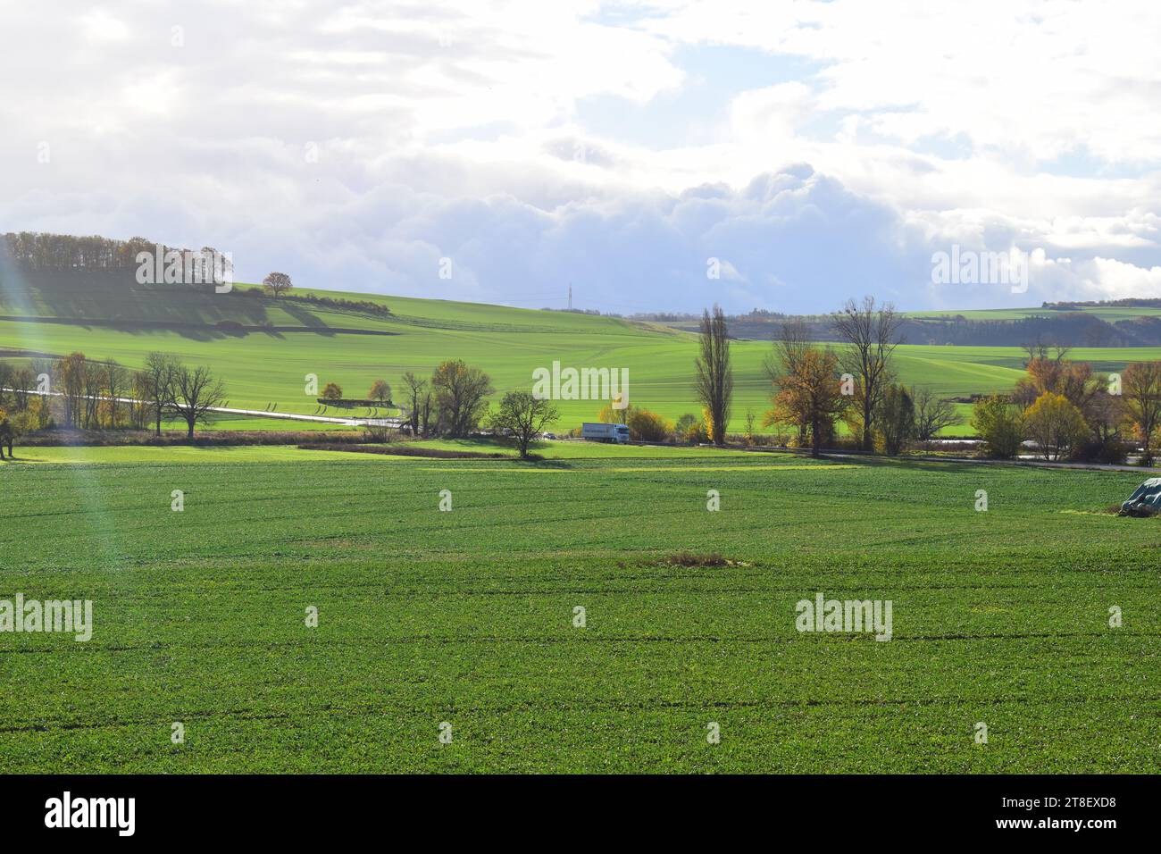 Sonniges Ackerland in der Eifel im Herbst Stockfoto