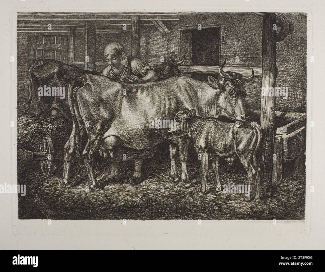 Die Kühe, die gepflegt werden, Johann Adam Klein, 1792-1875, 1818, Graphic Art, Kupfergravur, Papier, Farbe, Druckertinte, Kupfergravur, Printet, Höhe (Plattenformat) 170 mm, Höhe (Papierformat) 215 mm, Breite (Plattenformat) 222 mm, Breite (Papierformat) 270 mm, JAK f. 18, Grafikdesign, Europa, Modernität (1800 - 1914 Stockfoto