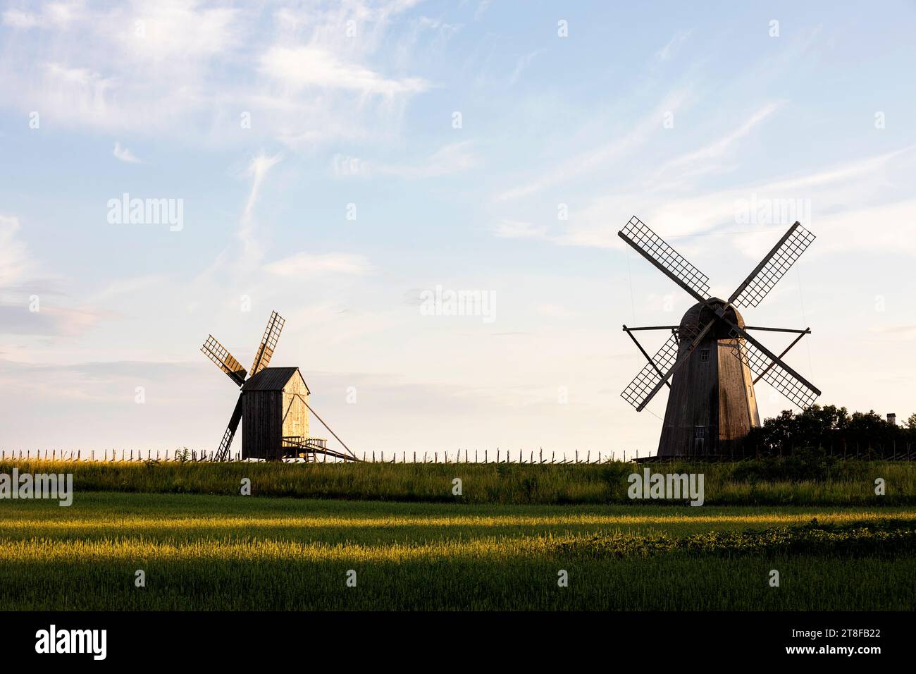 Wunderschöne Holzmühlen von Angla Tuulikumägi in wunderschönem Abendlicht an einem sonnigen Sommertag auf der Insel Saaremaa, Estland Stockfoto