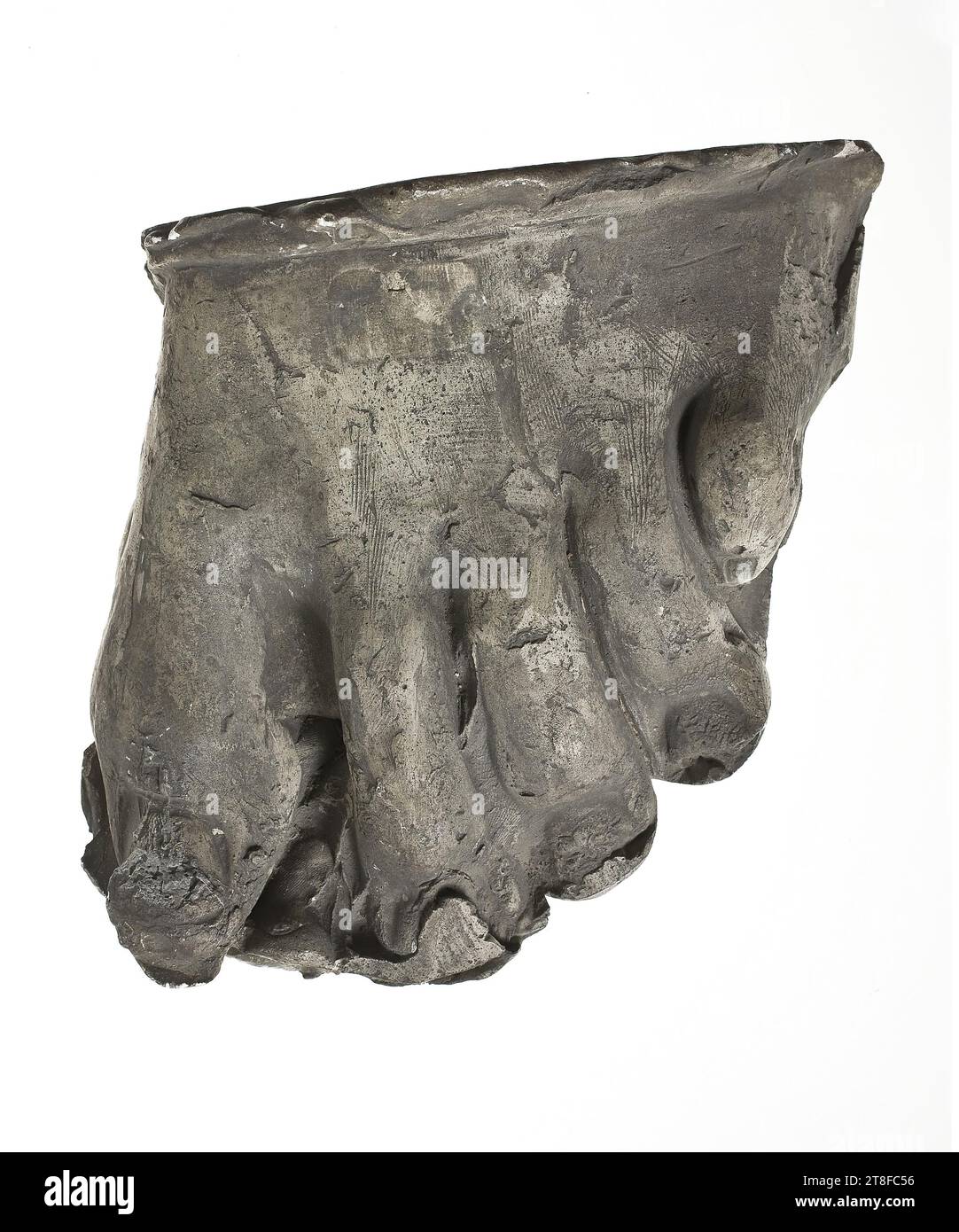 Ein linker Fuß, Skulptur, Statue, Guss, Höhe 8,5 cm, Skulptur, römisch (753 v. Chr. - 476 Stockfoto