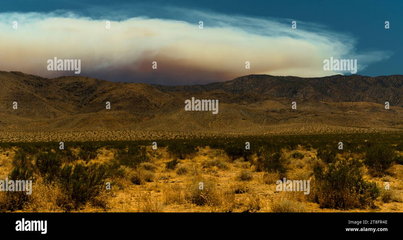 Rauch weht aus einem fernen und gefährlichen Waldbrand, das über einen nahen Gebirgszug in der kalifornischen Mojave-Wüste wütet. Stockfoto