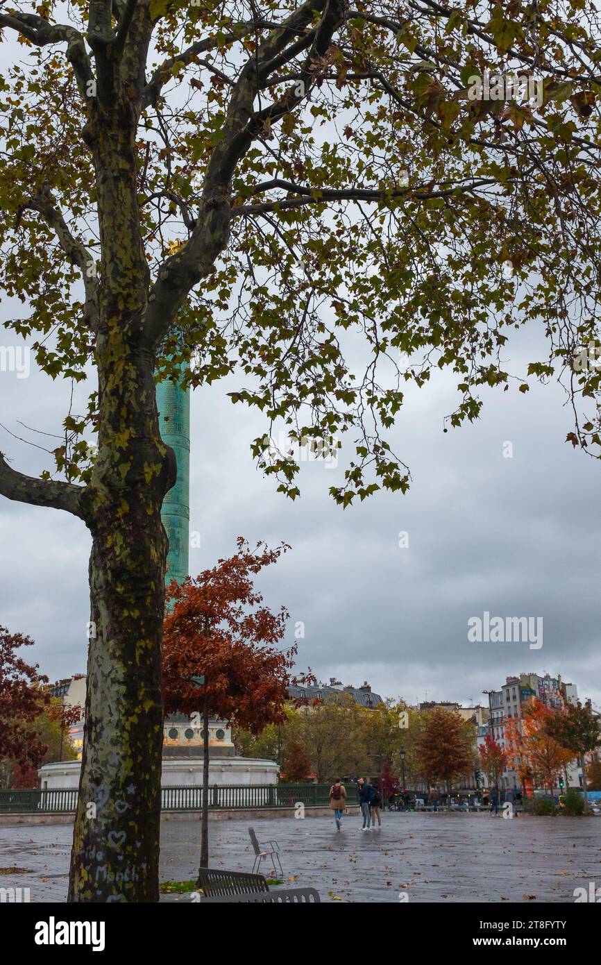 Paris, Frankreich, 2023. Nach der Renovierung des Place de la Bastille gepflanzt, leuchten die jungen Bäume in ihren herbstlichen Farben unter dem Pariser Himmel Stockfoto