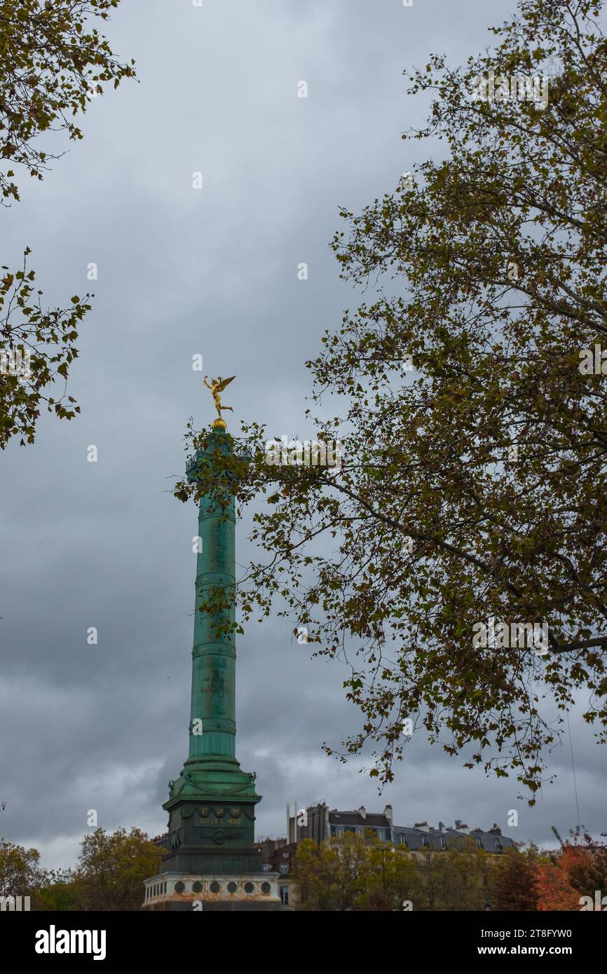 Paris, Frankreich, 2023. Die Julisäule und ihre goldene Génie de la Liberté sind hinter Platanen (Platanus x acerifolia) Place de la Bastille zu sehen Stockfoto