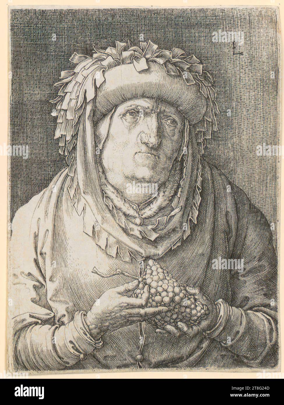 Lucas Hugensz. Van Leyden (1488, 1499 bzw. 1494 - 1533), Künstler, Alter Mann mit Trauben, Herkunft des Druckmediums: Ca. 1523, Kupferstich, Bogengröße: 11,4 x 8,5 cm, Plattengröße: 11,2 x 8,3 cm, oben rechts monogrammiert 'L Stockfoto