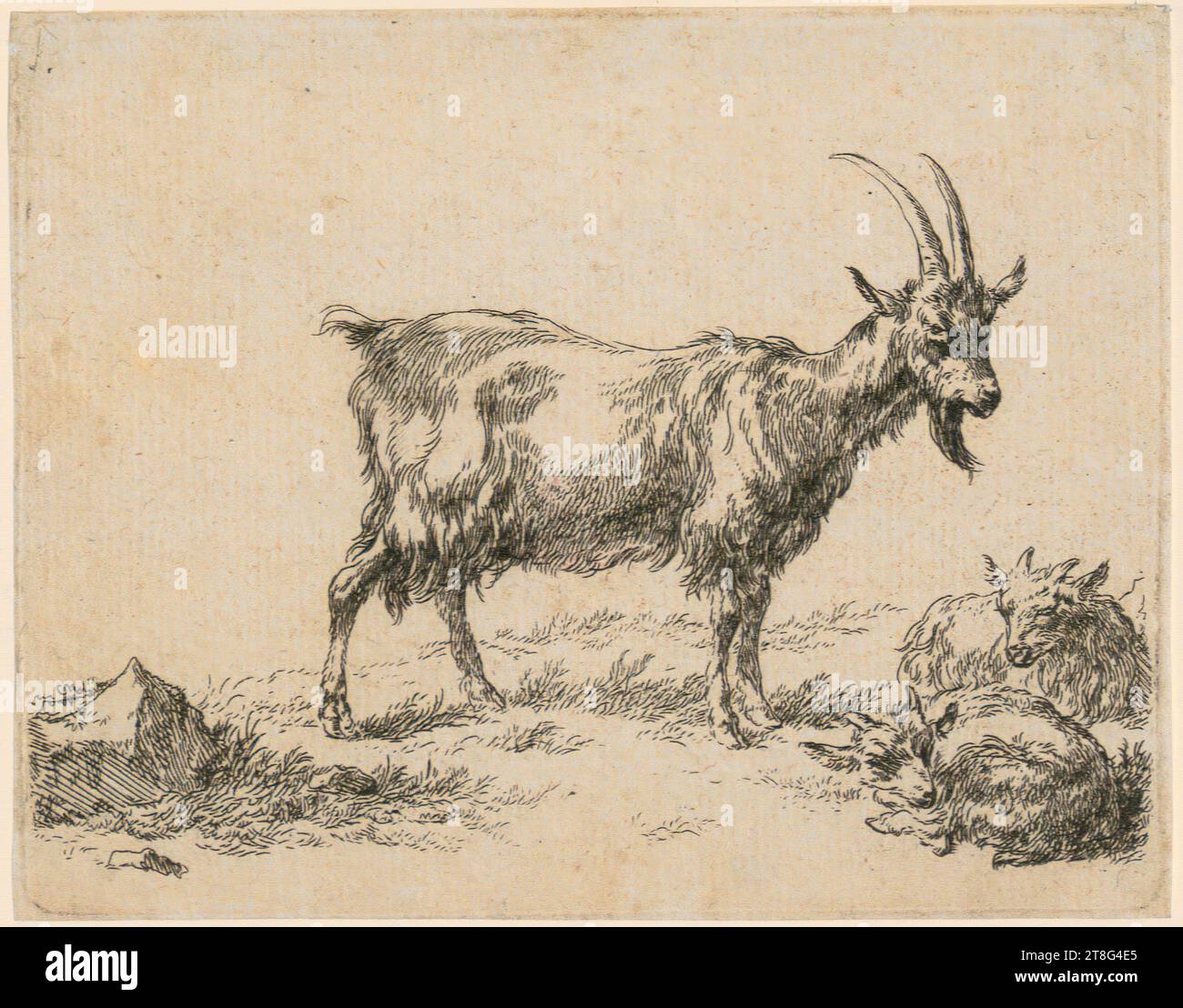 Nicolaes Berchem (1620 um - 1683), Ziegen mit zwei Kindern, Blatt 6 der Serie „verschiedene Darstellungen von Ziegen“, Herkunft des Druckmediums: 1648 - 1652, Ätzung, Bogengröße: 10,3 x 13,2 cm Stockfoto