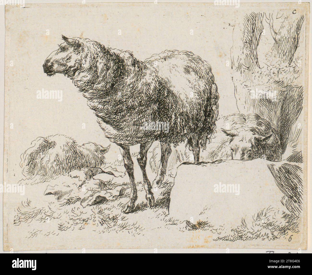 Nicolaes Berchem (1620 um - 1683), Künstler, stehende und liegende Schafe mit Halter, Nicolaes Berchem (1620 um - 1683), drei Schafe, Blatt 6 der Reihe 'verschiedene Abbildungen von Schafen', Herkunft des Druckmediums: 1648 - 1652, Ätzen, Bogengröße: 10,6 x 13,1 cm, oben rechts mit der Aufschrift „c“ und unten rechts mit der Nummer „6 Stockfoto
