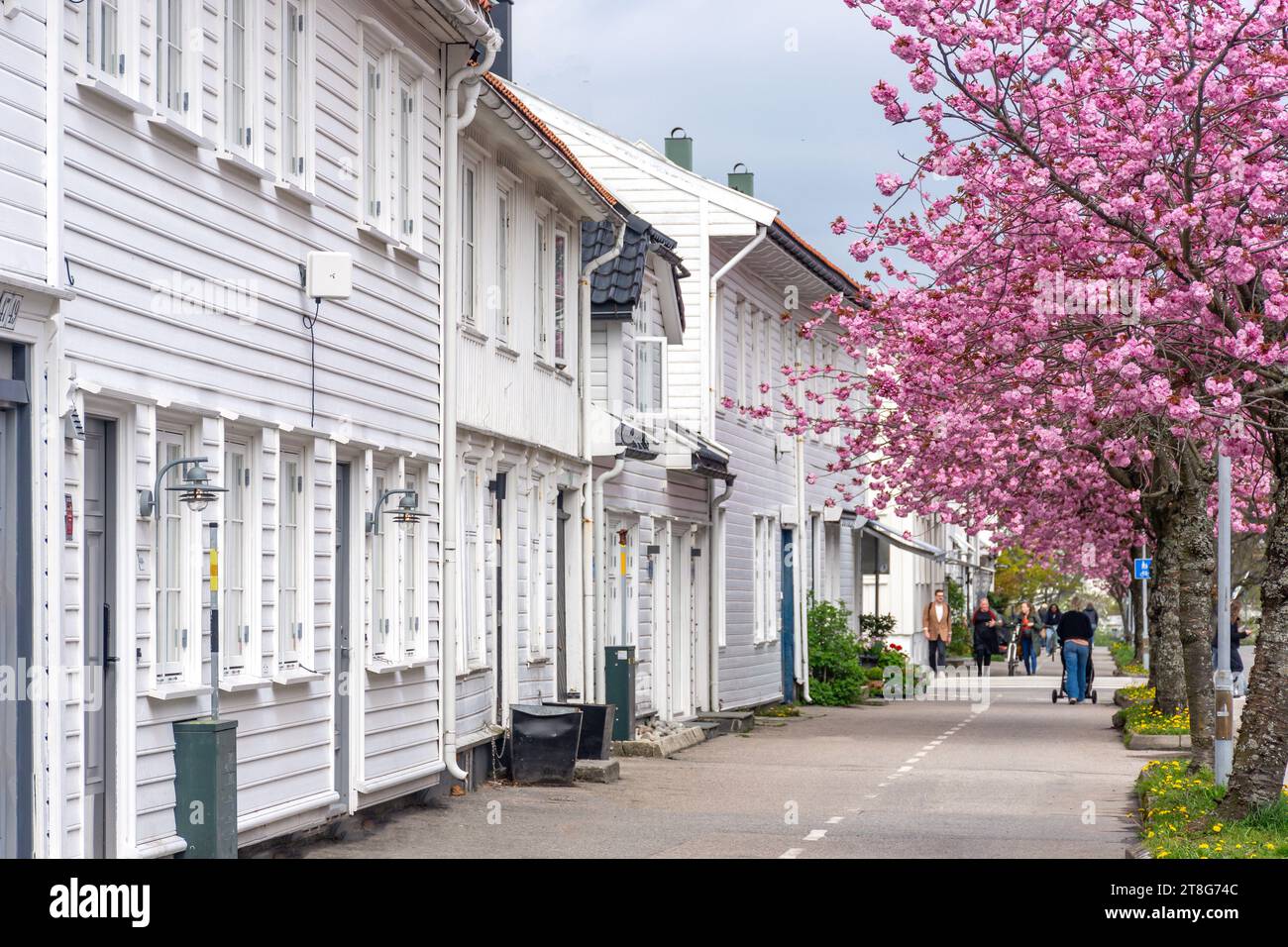 Historische Holzhäuser im Frühling, Rådhusgata, Kristiansand (Christiansand), Agder County, Norwegen Stockfoto