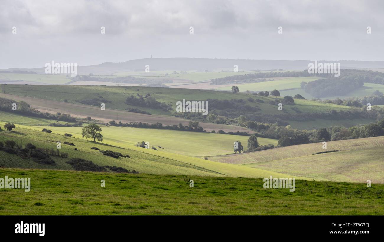Die sanfte Kreidefläche der Dorset Downs von England aus gesehen vom Ridge Hill, mit Grimstone Down und Hardy's Monument, das sich über Kreta Botto erhebt Stockfoto