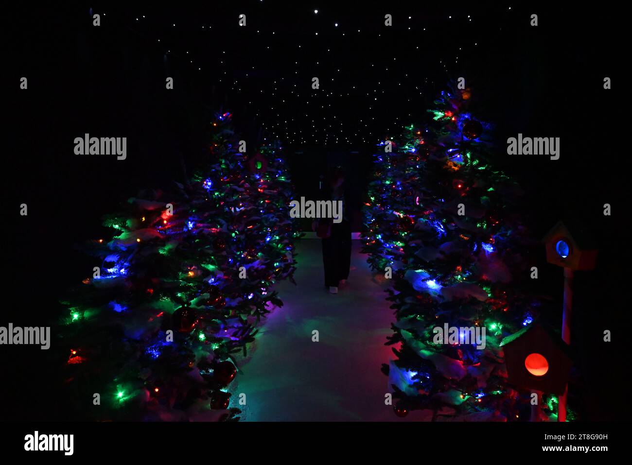 Weihnachtsmann an bord Fotos und Bildmaterial in hoher Auflösung Alamy