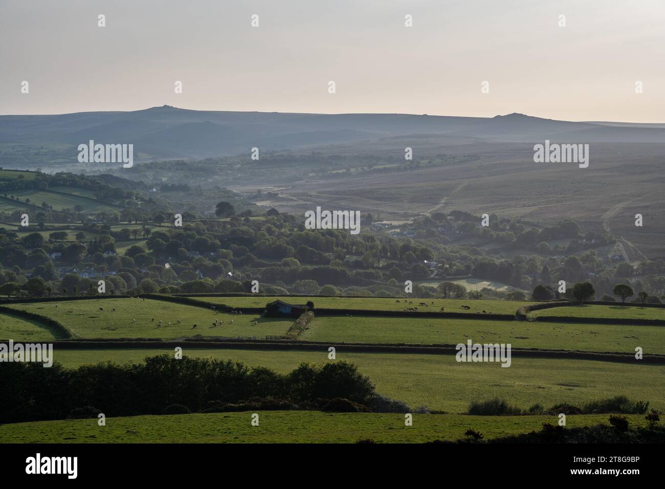 Das Morgenlicht scheint auf dem Ackerland und den Wäldern der Täler Lydford und North Brentor unter den Hügeln und Toren von Dartmoor in West Devon. Stockfoto