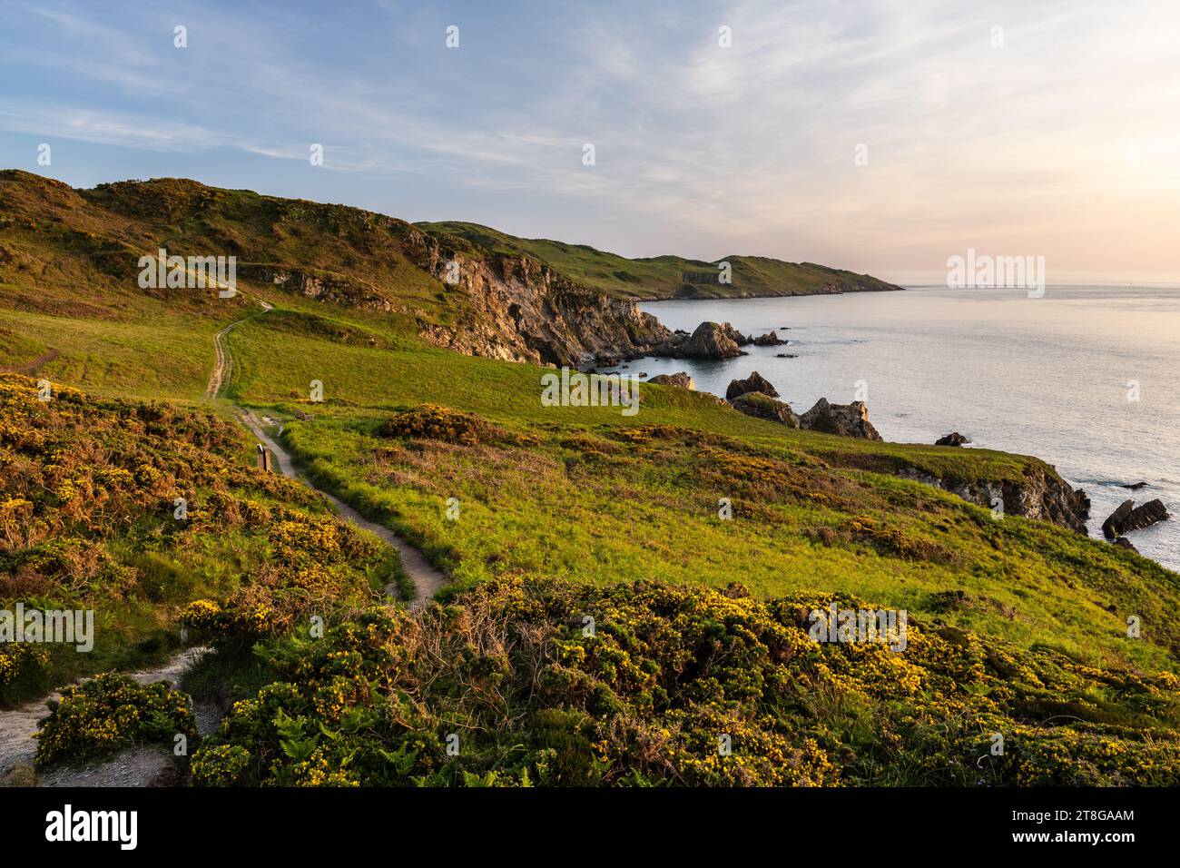 Die abendliche Sonne scheint an der zerklüfteten Küste von Rockham Bay und Morte Point in der Nähe von Woolacombe in North Devon. Stockfoto