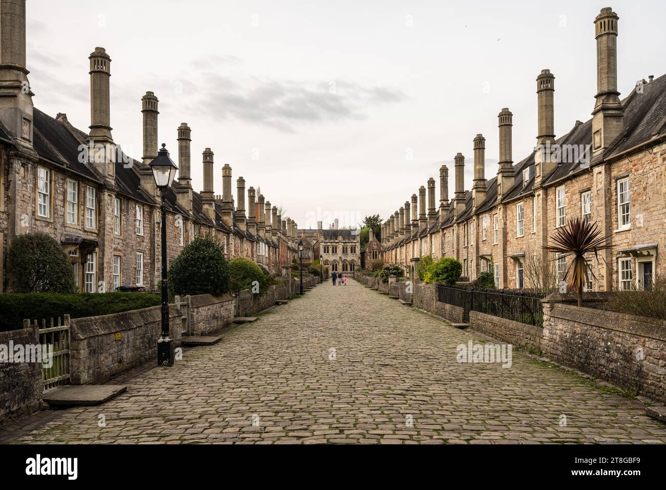 Traditionelle Steinhäuser säumen die malerische Kopfsteinpflasterstraße von Vicars' Close in Wells, England. Stockfoto