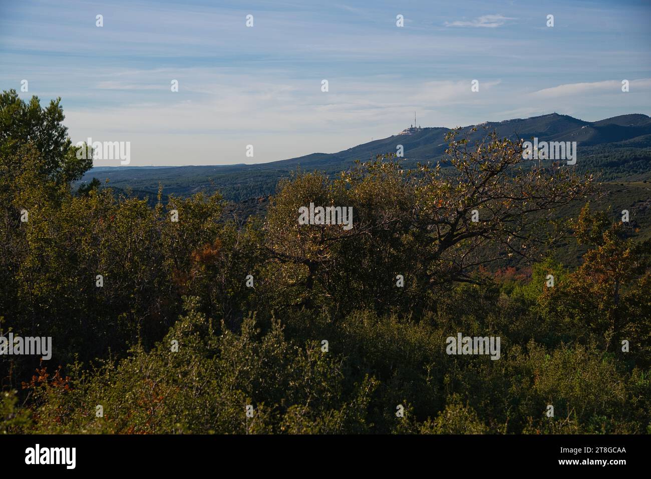 les collines et la garrigues de la Provence de Pagnol une fin de journée automnale dans le massif de l'étoile entre allauch et Aubagne Stockfoto