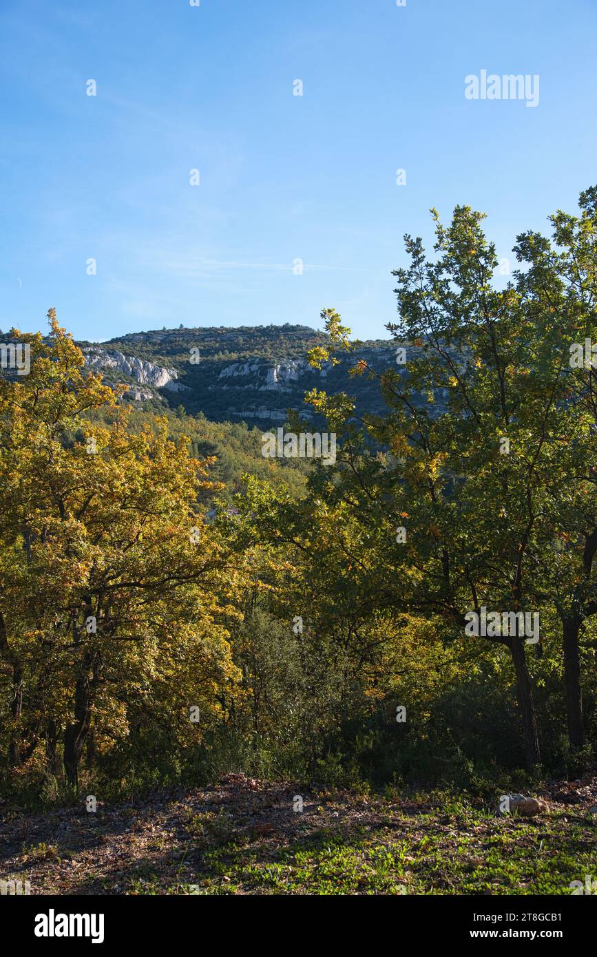 les collines et la garrigues de la Provence de Pagnol une fin de journée automnale dans le massif de l'étoile entre allauch et Aubagne Stockfoto