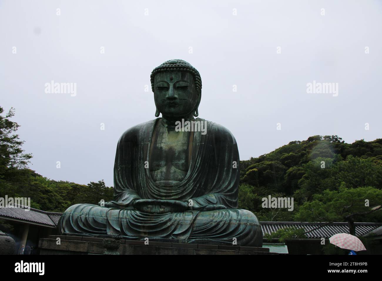 Großer Budda von Kamakura (Japan) Stockfoto