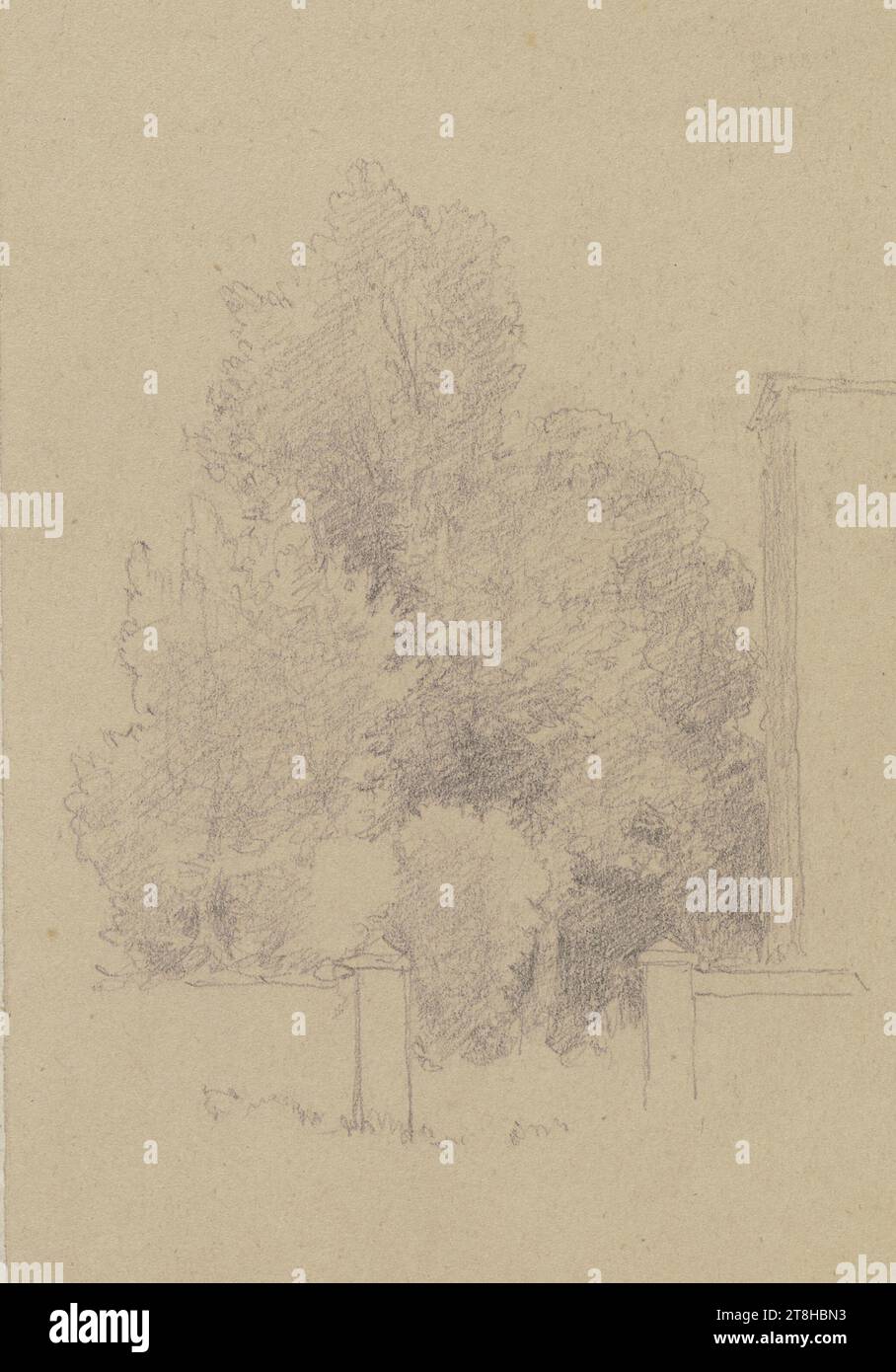 CARL THEODOR REIFFENSTEIN, Gartenmauer, 8. Juli 1877, Blatt, 155 x 120 mm, Bleistift auf Pergamentpapier, Gartenwand, CARL THEODOR REIFFENSTEIN, Seite, Klebebänder, Band 34, Seite 36, Teilenummer / gesamt, 2 / 2, 19. JAHRHUNDERT, ZEICHNUNG, Bleistift auf Pergamentpapier, GRAPHIT-TON-MISCHUNG, SAMTPAPIER, BLEISTIFTZEICHNUNG, DEUTSCH, LANDSCHAFTSSTUDIE, REISESTUDIE, datiert unten links, mit Bleistift, 8. Juli, 1877, nummeriert auf der Seite rechts neben der Zeichnung, in schwarzem Stift Stockfoto