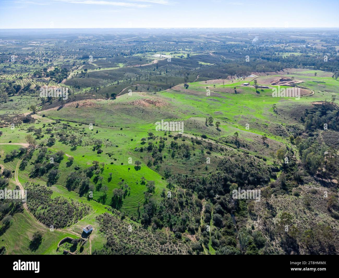 Drohnenansicht der Weiden der Provinz Huelva mit Korkeichen und grünen Wiesen Stockfoto
