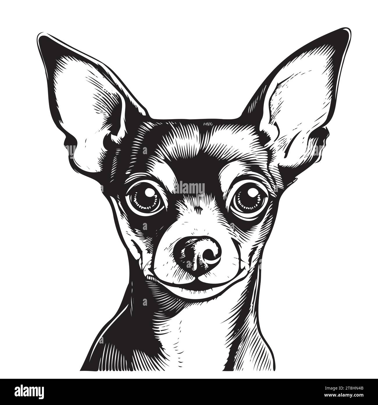 Vektor isoliert eine einzelne sitzende Chihuahua Spielzeug Terrier Hund Kopf Vorderansicht schwarz und weiß zwei Farben Silhouette. Schablone für Lasergravur oder Schablone, Druck für T-Shirt Stock Vektor