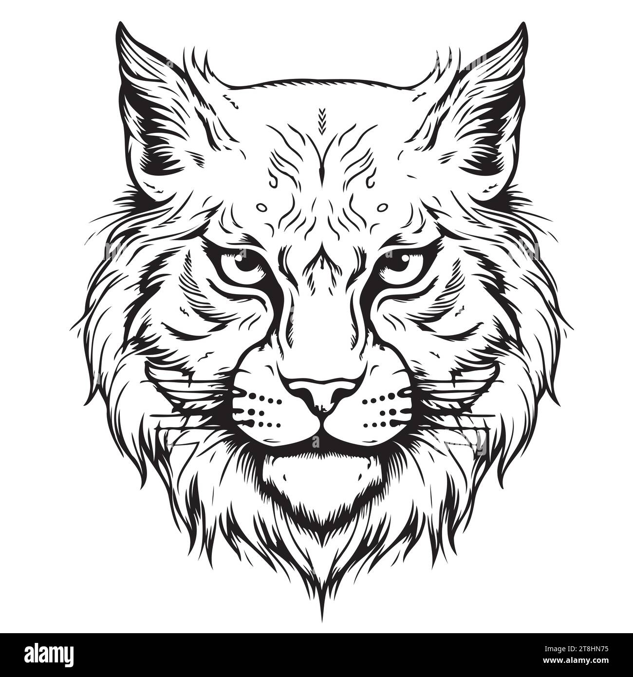 Lynx-Kopf. Skizzieren, gezeichnet, grafisches Porträt eines Luchskopfes auf weißem Hintergrund Stock Vektor