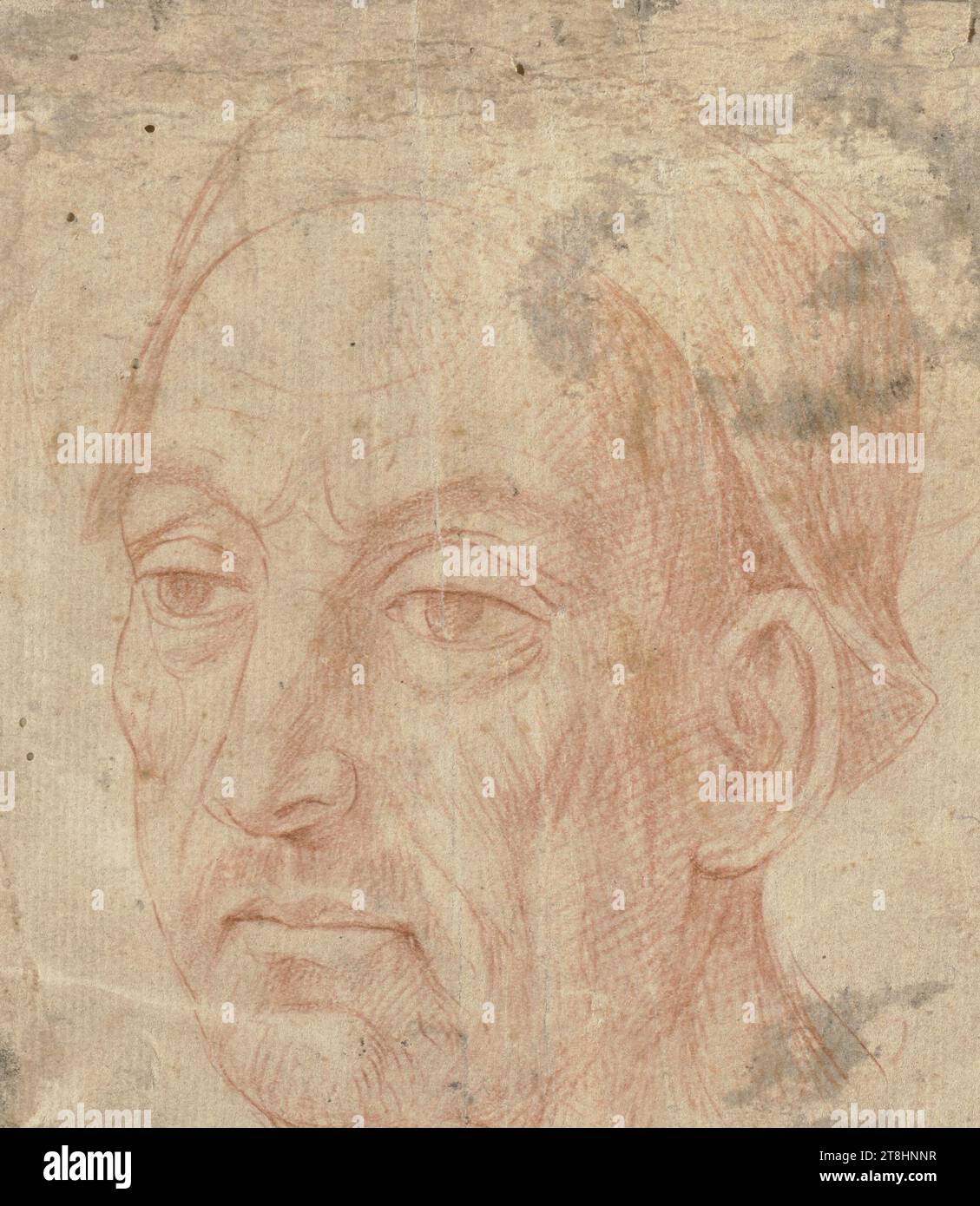 ITALIENISCH, 16. JAHRHUNDERT, männlicher Kopf, Blatt, 142 x 125 mm, rote Kreide auf vergé-Papier, männlicher Kopf, Italienisch, 16. JAHRHUNDERT, 16. JAHRHUNDERT, 15. JAHRHUNDERT, RENAISSANCE, ZEICHNUNG, rote Kreide auf vergé-Papier, ROT WEISS, VERGET-PAPIER, ROTES JAHRHUNDERT, ITALIENISCH, STUDIUM, STUDIUM NACH Einem GEMÄLDE?, STUDIUM NACH Einer ZEICHNUNG?, nicht beschriftet, rückseitig beschriftet in der Mitte rechts, mit dem Stift in schwarz-braun, Inv 1036; unten rechts, mit grauem Stift, G Stockfoto