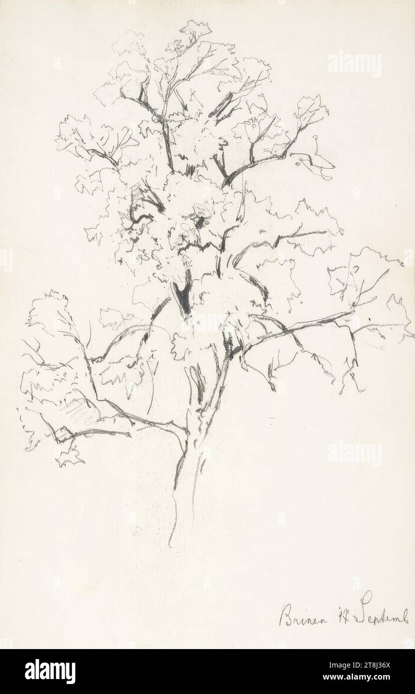 Brixen, Baumstudie, Skizzenbuch Hörmann Theodor von; 18 Seiten, Theodor von Hörmann, Imst 1840 - 1895 Graz, 17. September 1872?, Zeichnung, Bleistift, Blatt: 20,6 cm x 12,6 cm Stockfoto