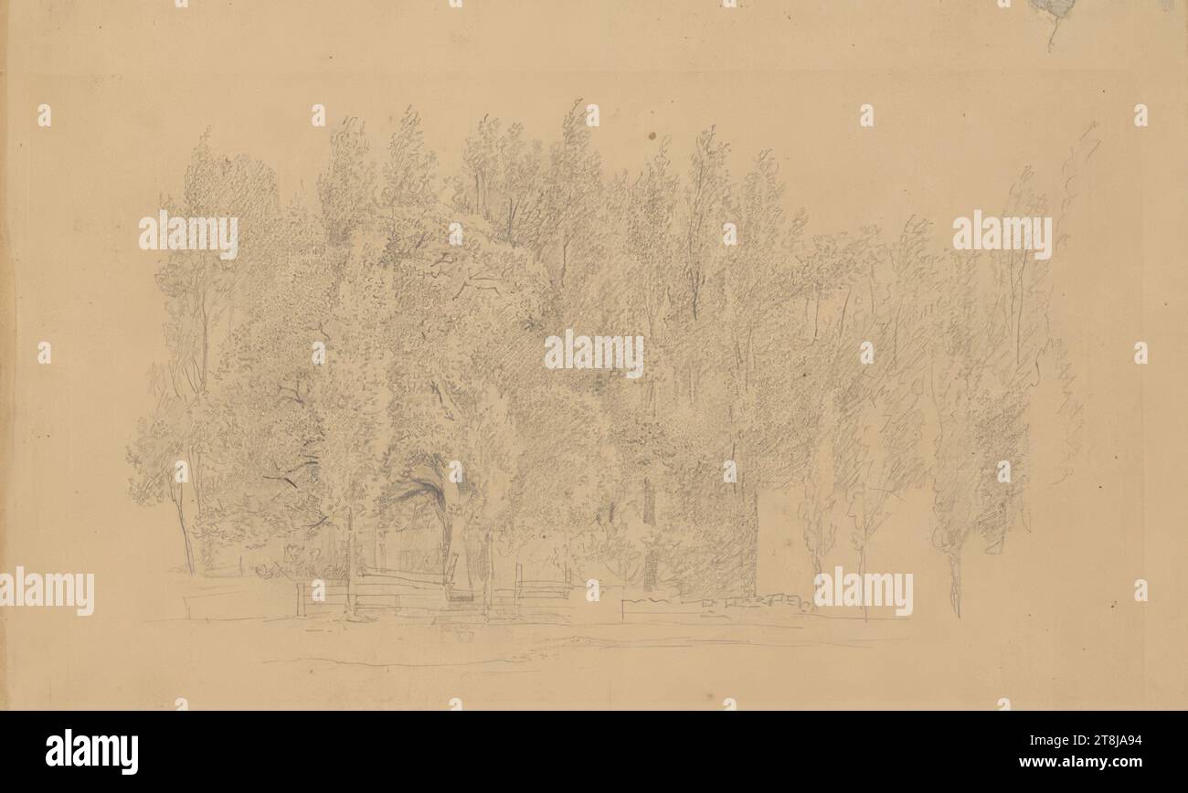 Waldstudie, Rudolf von Alt, Wien 1812 - 1905 Wien, Zeichnung, Bleistift auf gelb getöntem Papier, 15,1 x 24,3 cm, rückseitig: 'Nachlass / Rud. v. Alt', Cahier, l.o. '11.'; l.u. 'Rudolf Alt, Österreich Stockfoto