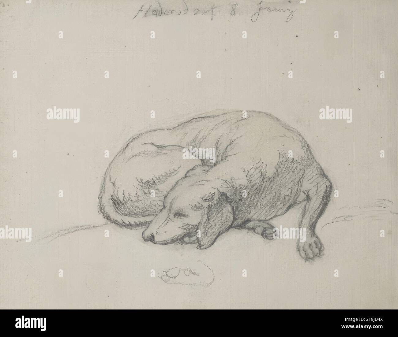 Hadersdorf: Studie eines schlafenden Hundes, Skizzenbuch Höfel Blasius III; 62 Seiten paginiert, Blasius Höfel, Wien 1792 - 1863 Aigen bei Salzburg, 8. Juni, Skizzenbuch: 1820-1822, Zeichnung, Bleistift; Fixiermittel, Blatt: 10,4 cm x 13 cm, M.O. „Hadersdorf 8 Juny“, Bleistift, Österreich Stockfoto
