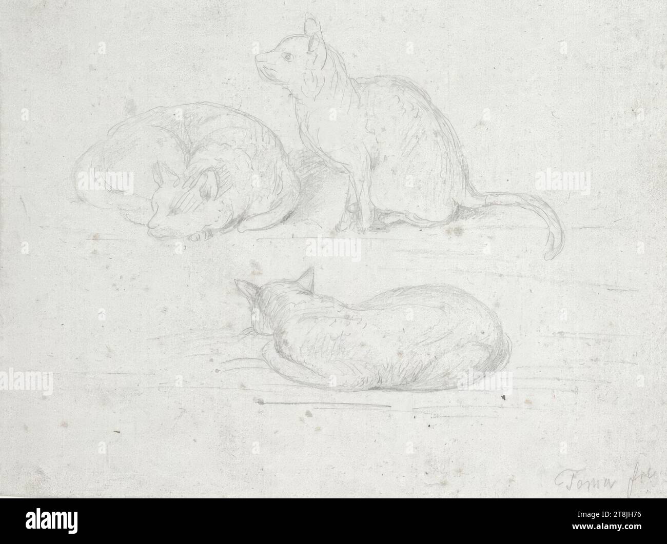 Drei Katzen in verschiedenen Posen, Skizzenbuch Toma Matthias Rudolf; 53 eingeklebte Bleistiftskizzen, eingeklebte Buchseiten paginiert, Matthias Rudolf Toma, Wien 1792 - 1869 Wien, Zeichnung, Bleistift, Blatt: 8,5 cm x 11,2 cm, Österreich Stockfoto